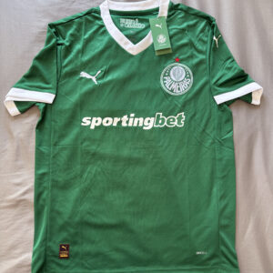 Palmeiras 25/26 Titular IMPORTADA (Version Fan)